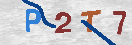 Type the 4-digit alphanumeric security code in the input field