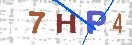 Type the 4-digit alphanumeric security code in the input field
