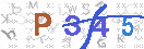 Type the 4-digit alphanumeric security code in the input field